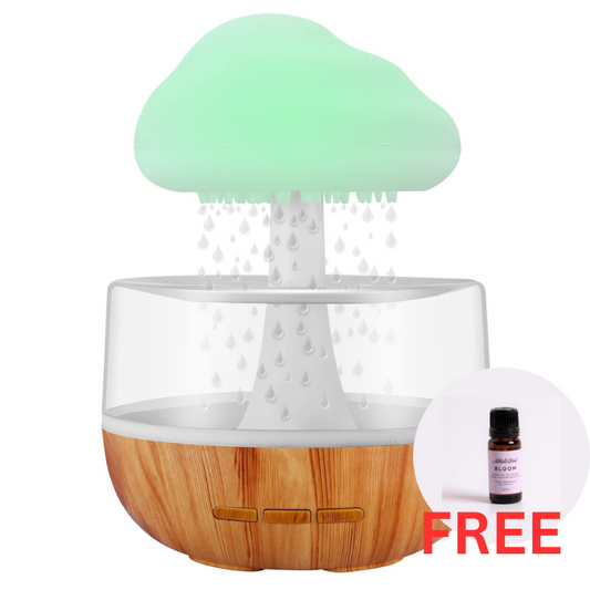 Rain-Cloud Humidifier